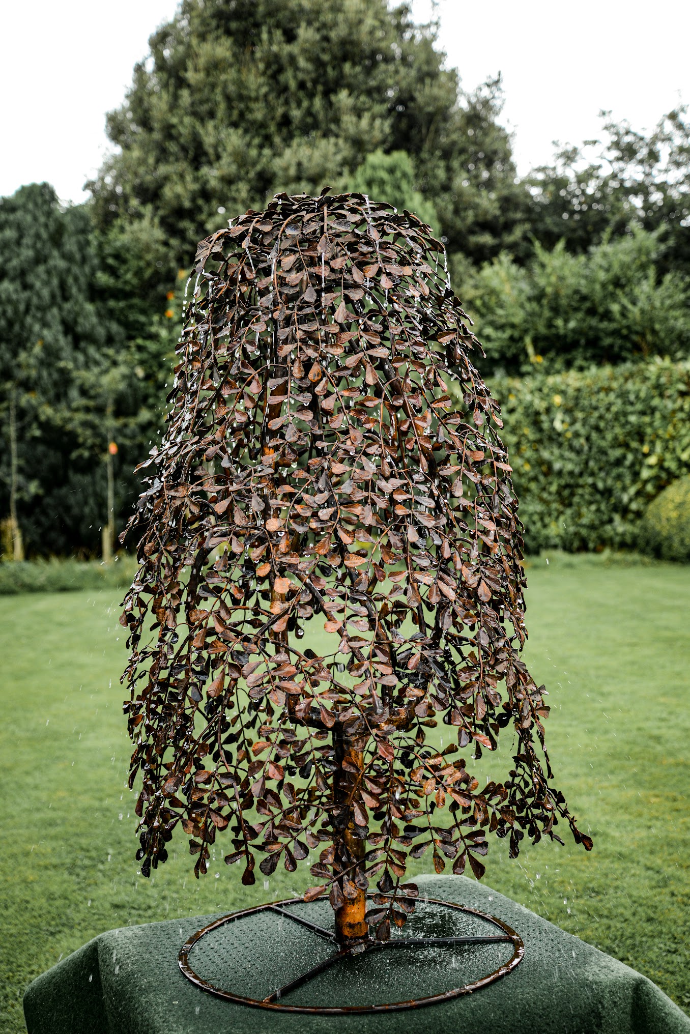 Profile picture of this member